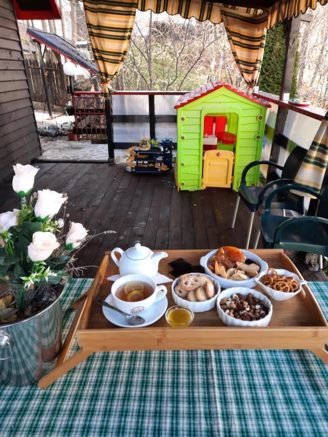 Pension Paunasul Buşteni Exterior foto