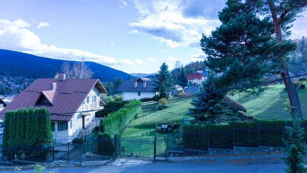 Pension Paunasul Buşteni Exterior foto